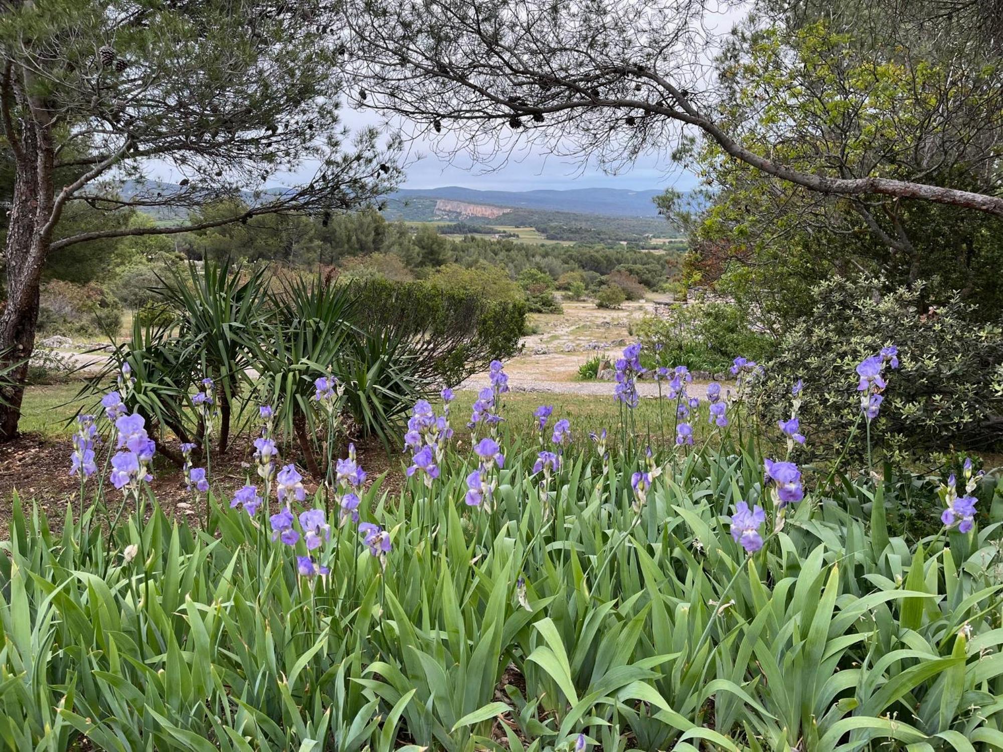 Lovely Views In Secret Provence Joucas Exterior photo